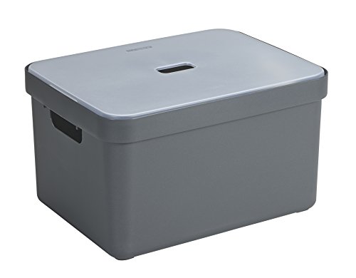 SUNWARE Sigma Flex Box 32 Liter mit Deckel - anthrazit/transparent