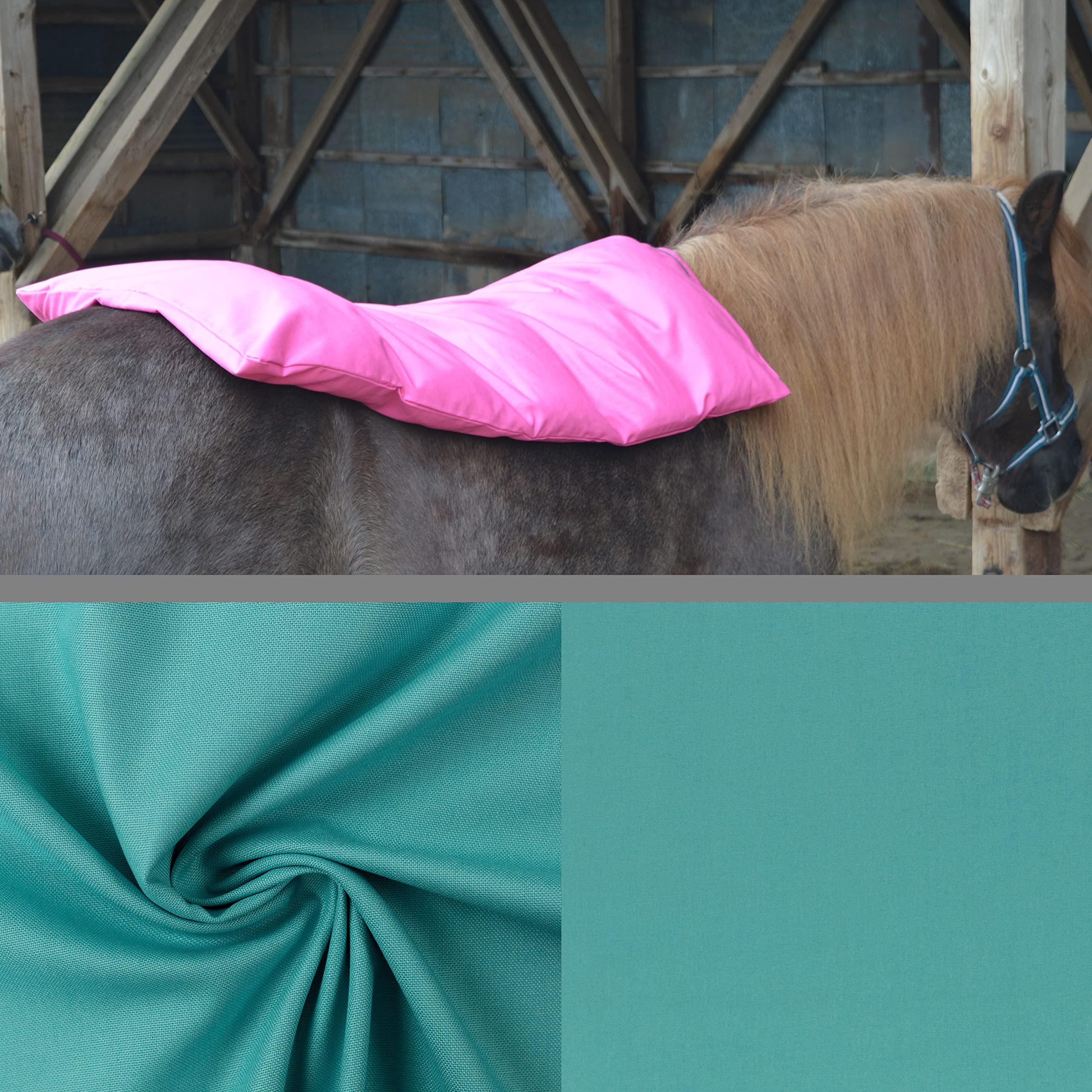 Teichwerk Dinkelspelzkissen Wärmekissen für Pferde Ponys Esel 1 farbig Mint Füllung Premium Plus 110x68
