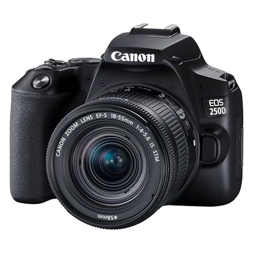 Canon EOS 250 D Digitale Spiegelreflexkamera 25.80 Mio. Pixel Schwarz 4K-Video, Bluetooth, Dreh-/schwenkbares Display, WiFi