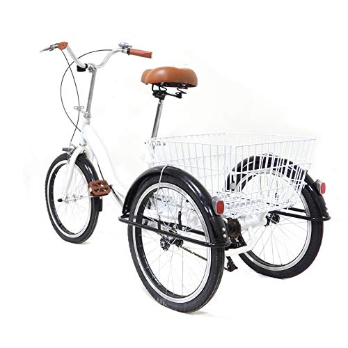 Donened 20 Zoll Dreirad für Kinder, Senioren 3-Rad Fahrrad mit Korb und Schutzblech City Tricycle für Städte, Strände, Fahrradwege usw (Weiß)