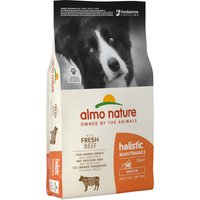 Holistic dog erwachsene medium Hunde Trockenfutter Rind & Reis 12kg