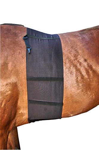 AMKA Sporenschutzgurt für Pferde schwarz - Sporenschutz Bandage Schutz