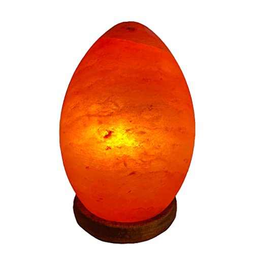 SudoreWell® Salzkristall Lampe Salzlampe eiförmig (EGG) aus der Salt Range Pakistan by Salzarena