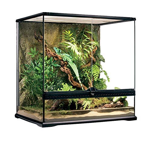JKGHK Terrarien Reptilienglas Terrarium Natural mit Bildschirm Belüftungskäfigen Terrarium, groß für Amphibien für Bartagamen Eidechsen Geckos Schlangenpanzer Dekorationen