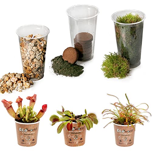 Ecoworld Fleischfressende Pflanzen DIY Ökosystem Set - 3 Fleischfressende Pflanzen - Substrat - Erde - Moos