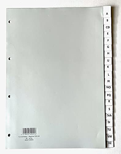 40x HETZEL Kunststoff-Register, A4, grau, 20 tlg, inkl. auswechselbaren Beschriftungsfeldern, Trennblätter