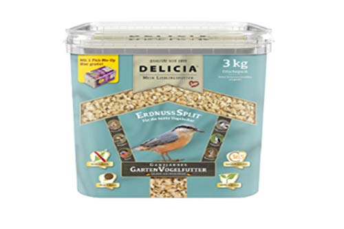 Delicia Erdnusssplitt ganzjahres Garten Vogelfutter 3 kg