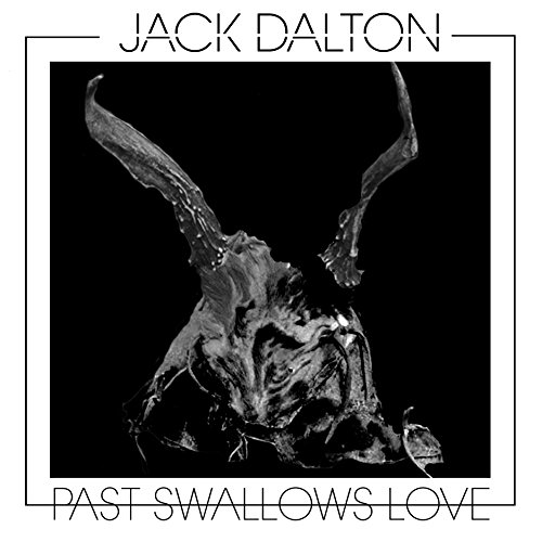 Past Swallows Love [Vinyl LP]