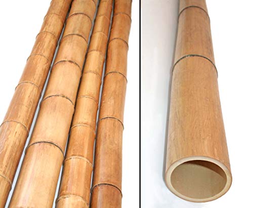 1 Stück Bambusrohr 300cm hitzebehandelt mit dickem 8-10cm Durchmesser - Gedämpfte Bambusstange 3m lang