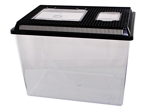 Neu PET-Plaza Kunststoffbox - Faunarium - Kunststoffterrarium - Faunabox - Insektenbox - Insektenterrarium - Box für Futterinsekten (46 x 30,5 x 33,5cm)