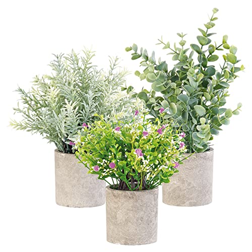 Carlo Milano Kunstpflanze: 3er-Set künstliche Deko-Pflanzen mit Töpfen, je 21, 23 und 26 cm hoch (Kunstblume, Unechte Pflanzen, Mitbringsel)