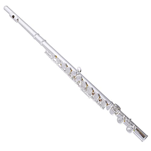 PECY Flöte Musikinstrument 16/17 Öffnungs- Und Schließloch Versilbert C-Taste E-Taste Für Schüler Für Spielen Querflöten (Color : 16 Open/Closed)