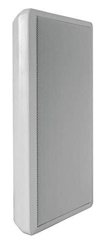 Dynavox WS-502 Flatpanel Lautsprecher 40 Watt Silber (Paar)