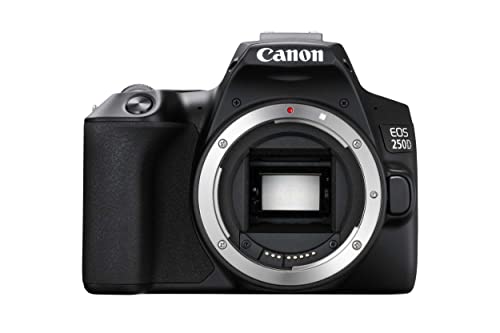 Canon EOS 250D Digitale Spiegelreflexkamera (24,1 Megapixel, 7,7 cm (3 Zoll) Vari-Angle Display, APS-C-Sensor, 4K, Full-HD, DIGIC 8, WLAN, Bluetooth) Gehäuse schwarz