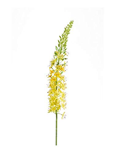 artplants.de Künstliche Blume Steppenkerzen AOMORI, gelb, 105cm - Kunst Eremurus