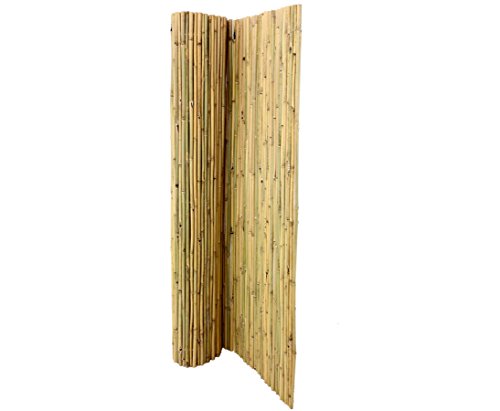 bambus-discount.com Bambusmatte Bali 180 x 300cm, extrem stabil, mit Draht druchbohrt