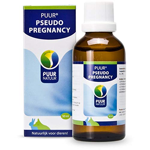 Puur Pseudo Pregnancy/Schwangerschaft, 50 ml, 1 Units