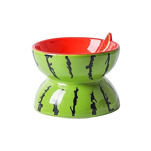 Katzennäpfe, Anti-Erbrechen-Katzennapf, Keramik-Haustiernäpfe mit um 15° geneigtem, erhöhtem Ständer for Futter und Wasser, perfekt for Welpenkatzen und kleine Hunde (Grey : Green)