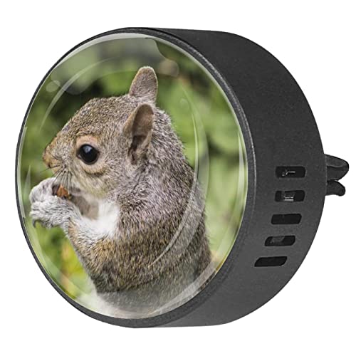 Quniao Nature Forest Squirrel 2PCS Custom Car Aromatherapy Air Freshener Diffuser Car Fragrance Diffuser Locket Car Diffuser Vent Clip Apply for Car, Office, Kitchen