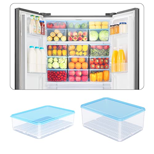 LÖWENBISS Kühlschrank Organizer Küchen Ordnungssystem Set mit Deckel groß Stapelbar Transparent Speisekammer Vorratsbehälter Tiefkühldosen Gefrierdosen Frischhaltebox (40 Liter (8 * 5L, 16*Gitter))