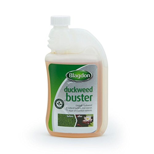 Interpet 2766 Blagdon Duckweed Buster - Mittel gegen Wasserlinsen, 1.000 ml