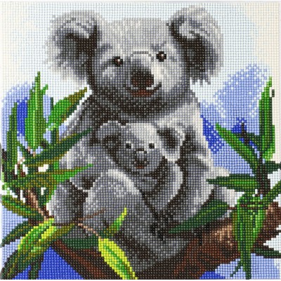 Crystal Art Kit auf Holzrahmen-Leinwand - Koalas, 30 x 30 cm mehrfarbig
