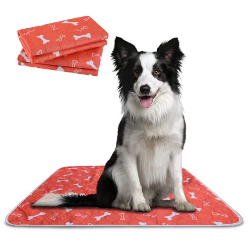 Waschbare Pee Pads für Hunde, Größe S/M/LG, super saugfähig, mit Geruchskontrolle und wasserdichter Rückseite, schützt den Boden und Teppich im Innenbereich, inkl. eBook für Welpen-Training, Medium