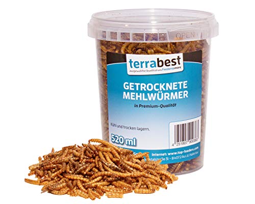 Terrabest 5000ml getrocknete Mehlwürmer Premium Qualität Reptilienfutter, Fischfutter, Igelfutter, Nagerfutter, Vogelfutter, Wildvogelfutter