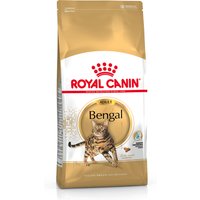 ROYAL CANIN Bengal Adult, 1er Pack (1 x 10 kg)
