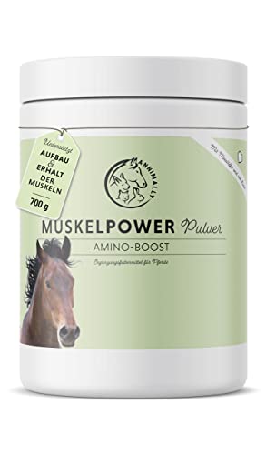 Annimally Muskelaufbau Pulver für Pferde 650g mit Sojaprotein, Lysin, Carnitin, Threonin, Methionin - Amino Zusatzfutter für die Stärkung der Muskulatur beim Pferd - Alternative zu Liquid