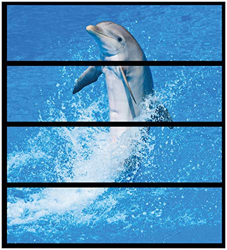 Wallario Möbelfolie/Aufkleber, geeignet für IKEA Malm Kommode mit 4 Schubfächern - Klebefolie Fröhlicher Delfin im blauen Wasser