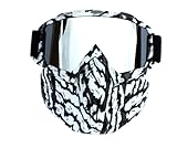 QINQIN Skibrille Motorradbrille Sportski Snowboard Schutz Gesichtsmaske mit abnehmbaren Brillen fit for Frauen Männer Jugend Erwachsene Jungen Mädchen (Color : Zebra Silver)