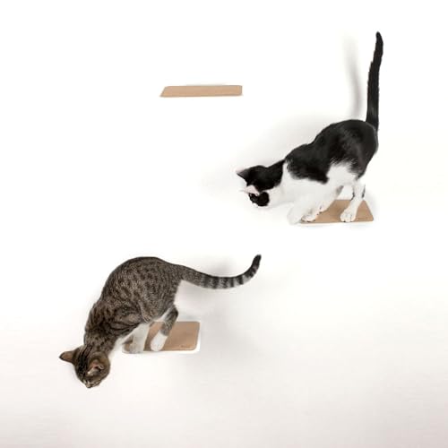 LucyBalu Katzentreppe Steps 3er Set I Individuelle Kletterwand für Katzen bis 10 kg I Kletterstufen mit 18 x 18 cm je Stufe (Weiß mit Kork)