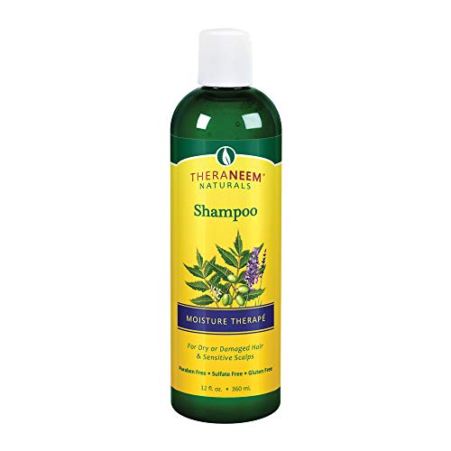 Organix South Moisture Therape Shampoo 12oz