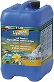 JBL AlgoPond Forte 27408 Wasseraufbereiter gegen alle Algen im Gartenteich, 5 l