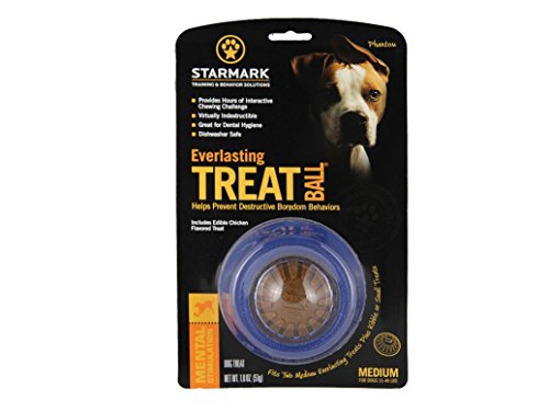 StarMark Everlasting Treat Ball Medium w/ USA Treat for Dogs
