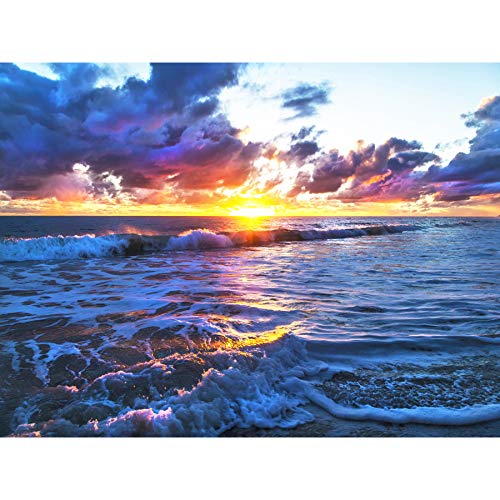 Wee Blue Coo Fotodruck auf Leinwand mit Meereslandschaft und Sonnenuntergang