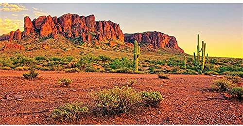 AWERT 183 x 45,7 cm Reptile Habitat Hintergrund Himmel Oase Berg Kaktus Sonne und Wüste Terrarium Hintergrund Durable Polyester Hintergrund
