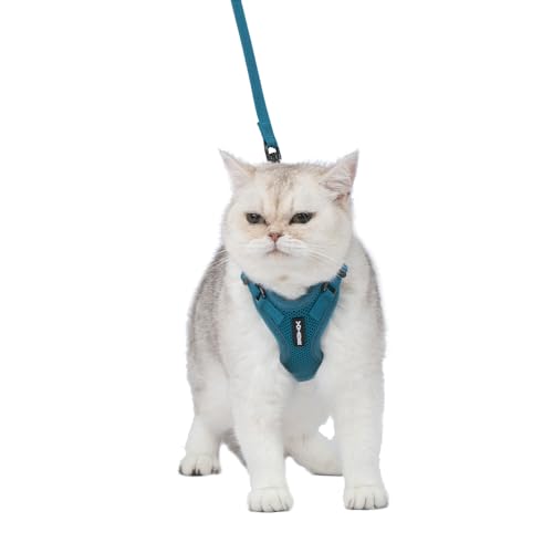 Best Pet Supplies Voyager Step-In Lock Katzengeschirr - Verstellbares Step-in Vest Geschirr für kleine und große Katzen - Türkis (passender Rand), XX-Small
