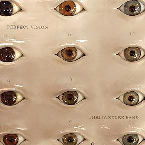 Perfect Vision [Vinyl LP]