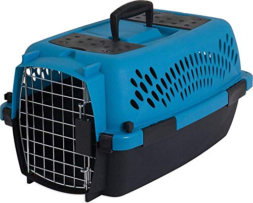 Aspen Pet Pet Porter Kunststoff-Transportbox für Hunde