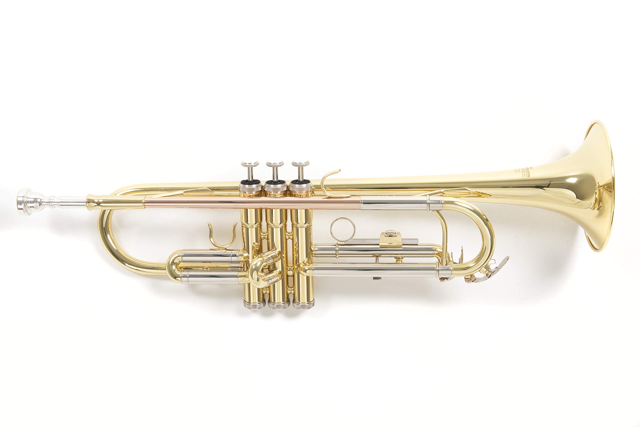 Roy Benson Bb-Trompete TR-202 (Langlebige Messingkonstruktion, mit leichtem Rechtecketui, Rucksackgarnitur, erstklassige Edelstahl Ventile, für professionelle Musiker)