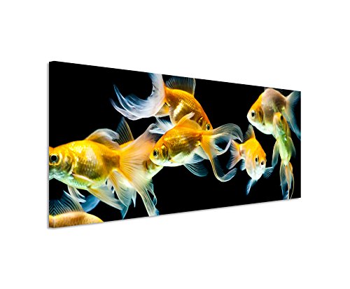 Bild 120x40cm Tierbilder – Elegante Goldfische