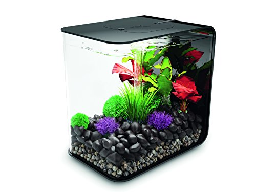 OASE biOrb FLOW 30 LED Aquarium, 30 Liter - Aquarien Komplett-Set mit LED Beleuchtung und patentiertem Filter-System, Acryl-Becken in Schwarz