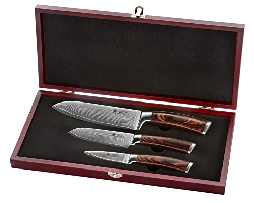 Wakoli Damastmesser Profi Messerset mit Holzbox, VG-10, 30,5 cm bis 19,5 cm, sehr hochwertiges Damast Messer, Japanische Damaszener Küchenmesser mit Ebenholz Griffen