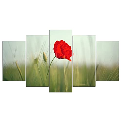 Laimi 5-TLG Rote Mohnblumen Set Keilrahmen-Malen-Canvas zum Aquarellfarbe Ölfarbe Acrylfarbe malen-Leinwand auf Keilrahmen aus Holz Säurefreie Baumwolle Leinwand