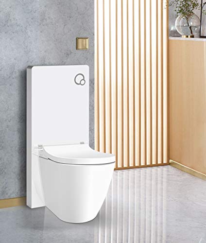 Weißglas Sanitärmodul für Stand-WC inkl. Betätigungsplatte