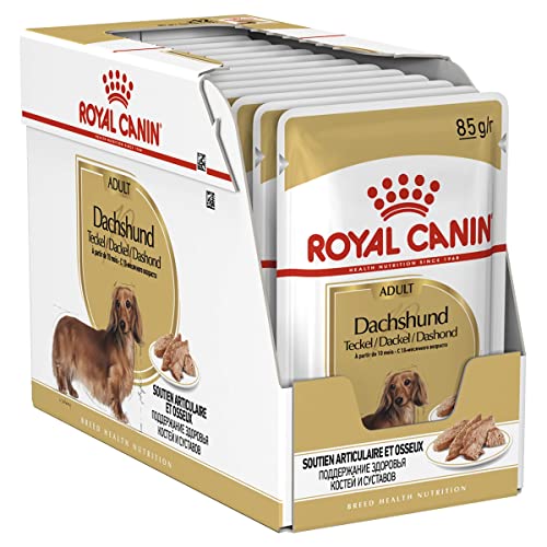 Royal Canin Breed Dachshund Mousse für Dackel - 48 x 85 g