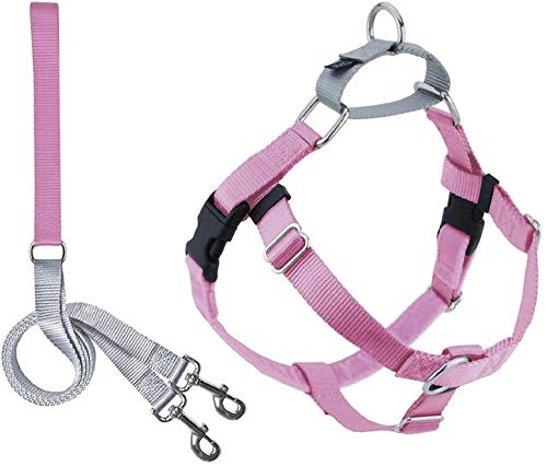2 Hounds Design 818557021979 No-Pull Dog Harness with LeashMedium (1 Zoll Wide) MRose