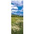 Komar Fototapete Vlies Meadow 100 x 280 cm